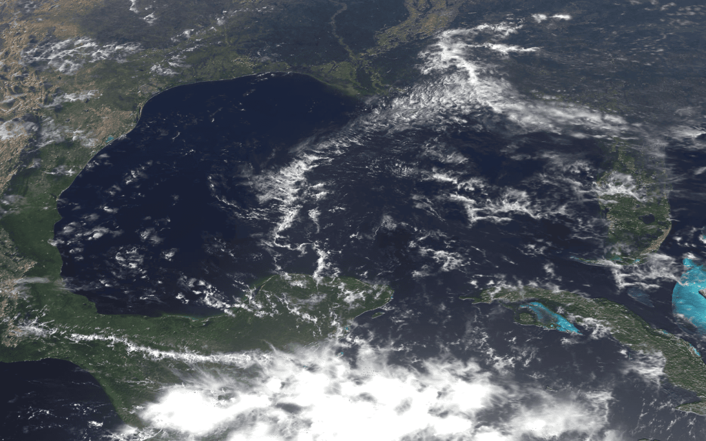 Partnerships