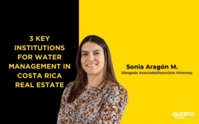 3 Key Institutions For Water Management In Costa Rica Real Estate