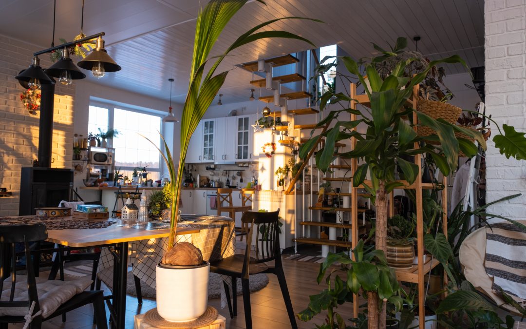 New Tax Reporting Rules for Airbnb and Digital Rentals in Costa Rica (Effective 2025)