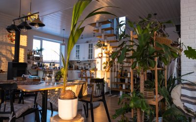 New Tax Reporting Rules for Airbnb and Digital Rentals in Costa Rica (Effective 2025)