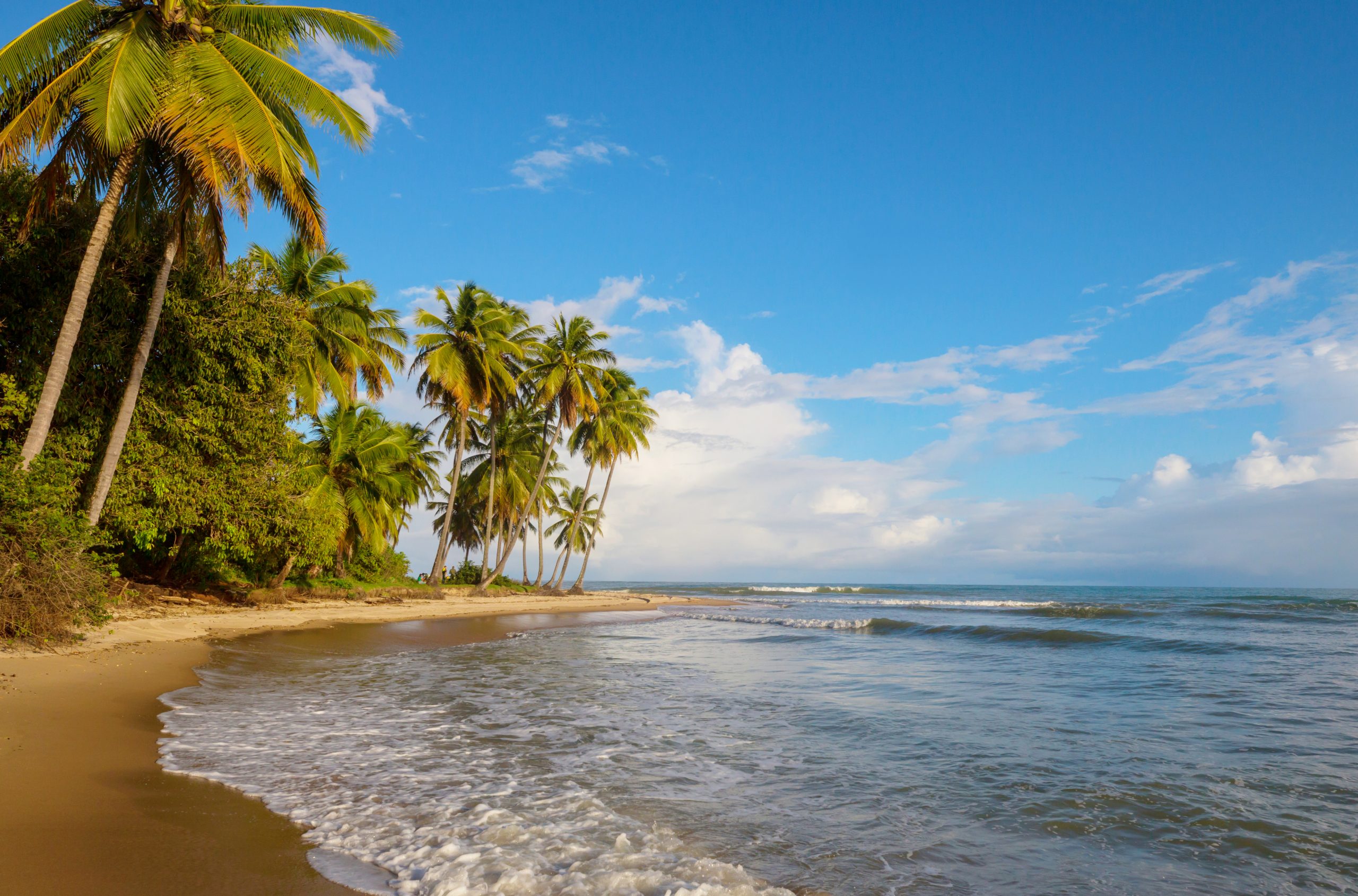 Puerto Viejo y la Ley N.° 166 de 1935: historia de un pueblo caribeño y ...