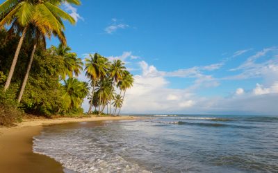 Puerto Viejo and Law No. 166 of 1935:  The history of a Caribbean town and its legal framework